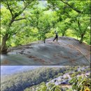 정진영농조합법인 이미지