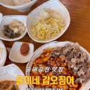 윤이네갑오징어
