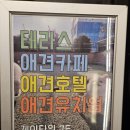 구름이 그린 달빛 이미지