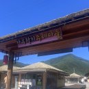 청원카 | 3. 정선 2박 3일 여행 콧등치기 국수 청원식당 + 아우라지 풍경