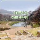 문수사 입구 | 충남 벚꽃 고즈넉한 사찰 서산문수사 겹벚꽃 개화 시기