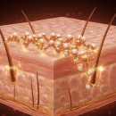 판테놀 Dr.J Lab 피부 장벽 회복 진정 성분, 화장품 원료 스킨케어