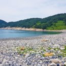 안도웰빙체험장(안도마을) 네이버블로그
