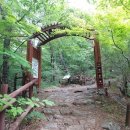 대원사계곡 이미지