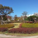 부산시민공원 이미지