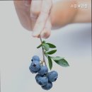 소망요양원 | 동대문구 믿을만한 요양원 찾는다면 소망요양원 전문 요양 서비스 제공