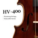 바이올린(중급) 이미지