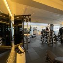 랩 지피티짐 이미지