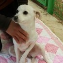 영희농장 이미지