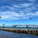 구름산책로 이미지