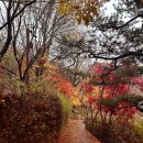 평지경로식당 | [공지] 화담숲 예약 후기 모노레일 1-2구간 가을 단풍 여행