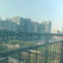 가람마을12단지 별숲오르트 | 운정 아파트 유리창 청소 (가람마을 12단지)