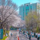 서강대학교 대학원 이미지