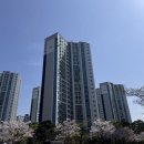 중앙하이츠마트 이미지