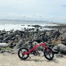 천진낭만 | 제주도 우도 여행 전기자전거 대여 천진낭만 생생후기