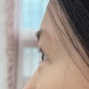 한올성형외과의원 | 인생눈썹ㅣ원장님 경력만큼 실력좋은 광명속눈썹펌 후기