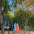 테마(야경 4~10월) 이미지