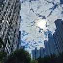 으뜸50안경순천신대점 | 가을이야 가을! 이제 조금씩 걸어볼까?