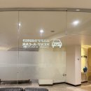 차차카서비스 | 괌 해피렌트카 자유여행 필수일까 예약 인수 가족차 기아 텔루라이드