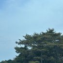 대전│정동 문화사│구움과자 디저트 전문점 주말 오픈런 웨이팅 &amp; 주차후기