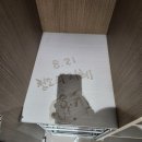 침산동코오롱하늘채1단지경로당 | 대구 침산코오롱하늘채2단지 50평 인테리어청소 컬비분진케어 후기