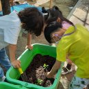 도봉농장 이미지