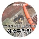 태인2길 | 정읍 태인 수성동 농소동 면지동 하수구막힘 신속하게 해결