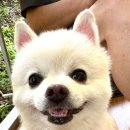 중앙여울펜션 이미지