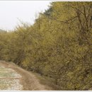 화전리경로당 이미지