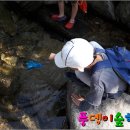 4 계절 이미지