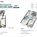 럭키골든스위트 이미지