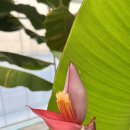 윤주농장 이미지