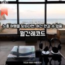 서귀포시 동부보건소 힐링센터 | 동쪽가볼만한곳 | 제주 성산일출봉 보면서 제주힐링여행 하기 좋은 분위기 좋은 오션뷰 LP바, 월간...