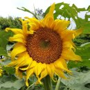 길중농장 이미지