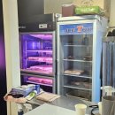 원피그 | 전민동맛집 피그돈 사장님이 직접 썰어주시는 얇은삼겹살