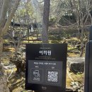 도척면-1 | 2026.04.12.) 화담숲 벚꽃 시즌 4월 둘째주 방문 후기, 모노레일 2구간 > 3구간 현장구입 및 벚꽃 영상
