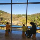 국립제주박물관 | 제주 국립제주박물관 아이랑 후기 (전시, 실내, 교육용 추천)