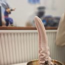 언덕이네아이스크림