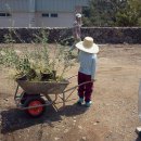 도순농장 이미지