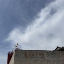 영월Y파크(술샘박물관) | [영월 가볼만한곳] 젊은달 와이파크, MZ 감성 가득한 현대미술 공간 후기