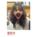 유카세탁 | 내년, 내후년도 불꽃놀이를 하니 그때 가면 되겠네요
