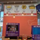 폴리파크 동해점 이미지