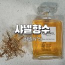 5(오) 이미지
