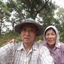 사일산 이미지