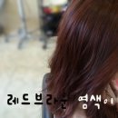 아녜스헤어 네이버블로그