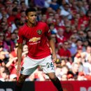 그린우드 이미지