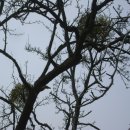 거창-가북-2 이미지