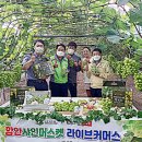 대박라이브 이미지