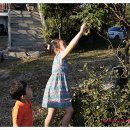 보거스고깃집 이미지