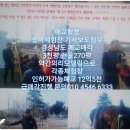 오션스포츠 Daum카페